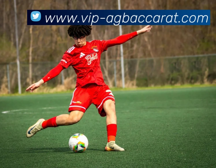奖项3